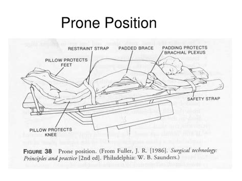 what is pronebone